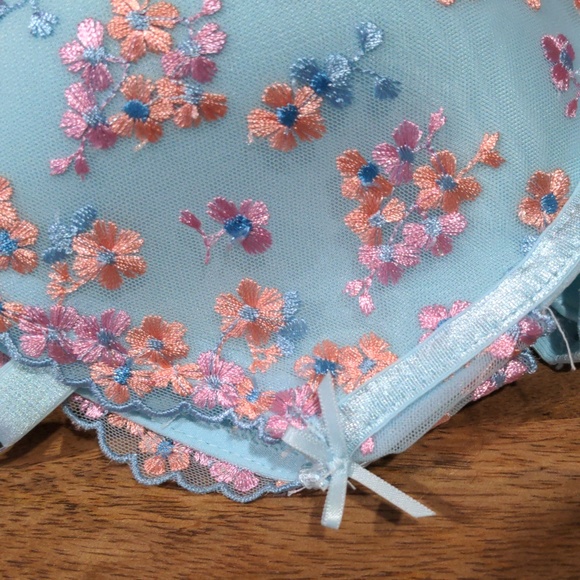 ❤️Gorgeous La Vie en Rose Bra 38 D - Picture 4 of 5